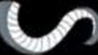 Crazy FTM Jaq Quicksilver Idolizes Masculine Assets