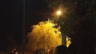 Thick BBW Wife Public Fun!