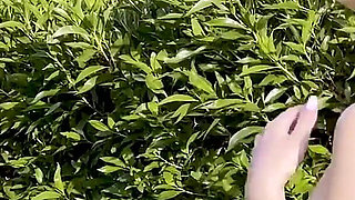 Volleyball Behind the Scenes