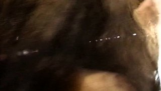 Group Sex and Hardcore Fucking Parties