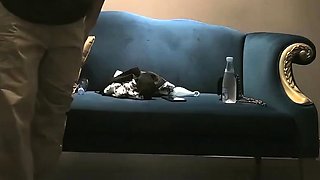 Amateur teen party babes give blowjob and lick pussy