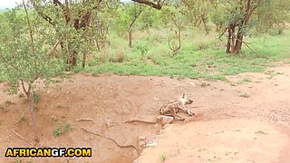 Glorious Black Gf Stiff Vag Nailed By BWC Yankee In Amateur Pound