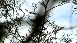 Living in the Australian Bush as a Nudist