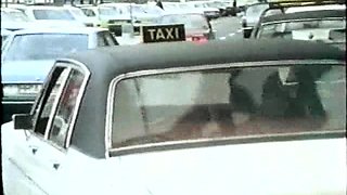 Anal Orgies with Hot Group Sex Babes in Heat