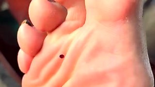 Black Amateur Explore Hot Foot Fetish