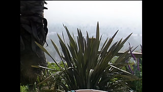 Tommi Rose: Hot and Eager to Be Banged Hard Outdoors