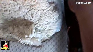 Slave girl fetish hot video