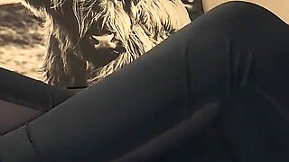 Dirty White Sneaker Worship - Smelly Socks in Face with Valeria Night (side View)