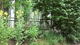 The Older Women Are Masturbating Each Other and Pleasuring Themselves with Dildos in the Garden.