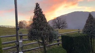 Laura Quest Public Outdoor Fuck Adventure Part 2 - Blowjob & Cum Swallowing in Risky Sex Scenes