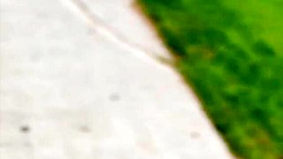 Mysterious Nicole Doshi - blowjob smut - Mr Lucky Life