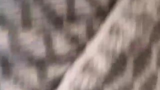 amateur older woman with big boobs