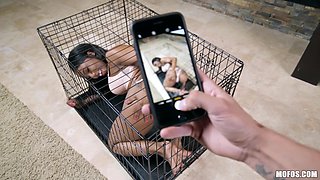 Sarah's Black Beauty Voyeur in a Wild Kitchen Affair