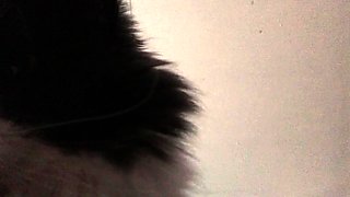 This large amateur cam girl has some very big boobs