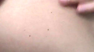 Sasihasi