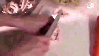 193-aegoprjkoijgha-red