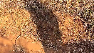 Roadside Ride! Dreadhot Gives a Filthy Blowjob on a Desert Dirt Road
