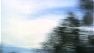 Hardcore Fucking Scenes with Blowjob Giving Brunettes