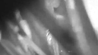 Seven Days to Be My Slave