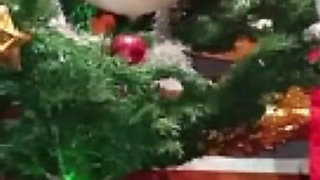 Stepmother Christmas the Dominatrix - 2