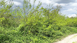 POV Roadside Debauchery  Wet Pleasure by the River