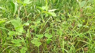 Sukunmi Gets Fucked Hard in the Jungle by Her Step Brother