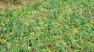 Open Your Jacket - Now - I Will Slap You Tits Now