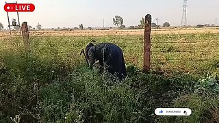 Stepsister Creampie - Snapchat143 Fucks Hard in Cowgirl - Huge Cock Reality