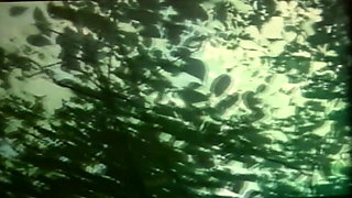 Vintage Desiree Cousteau MILF Boat and Beach Encounters