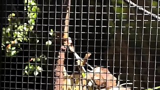 A Real Australian Experience With Aussie Hottie Jade Harper