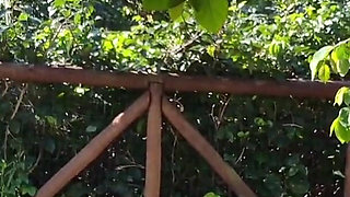 Risky Handjob for a Hot Babe in the Park!