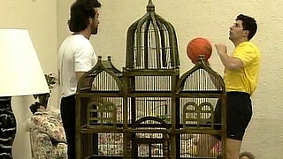 Gorgeous blondes enjoyed group sex