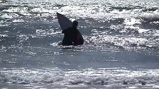 Classy Romeo and Layla's blonde babe xxx