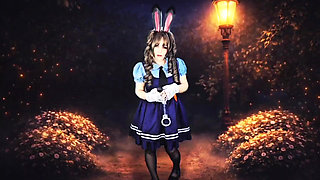 Officer's Discretion