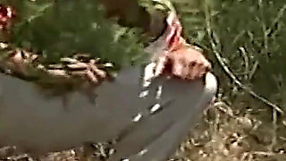 The Voyeur of the Forest