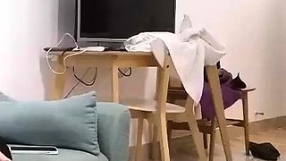 Very Cute Asian Girl Gets Roughly Fucked