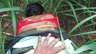 My Sexy Wife And I Hot In Sugarcane Field Indian Sex Video