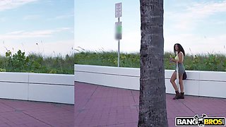 Bus Where Souls Collide