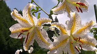 XZGEHYDXCZTVENWKATTR069