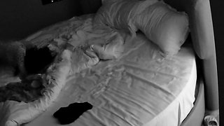 Ma chienne french amateur couple hidden cam 1
