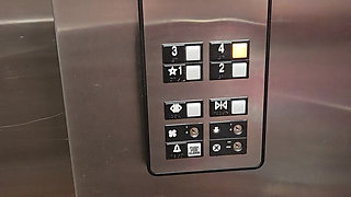 Naughty Elevator Ride Will She Get Caught?