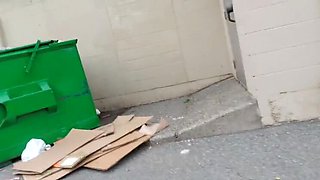 Nerdy Faery Public Piss Adventure: Dumpster, Docks & Toilet Fun