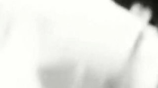 Dd0304