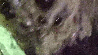 Horror Porn 17: Female Spider