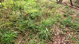 Show Me Your Tits - I Wanna Slap Them for My Fun