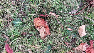 She Open Hairy Pussy in the Car Then Go Outside Piss