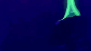 Twerking perfect body short skirt neon lingerie close up milf hot private