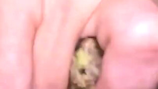 Dirty Uncensored Versions Available Only for Toilet Slave