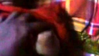 Bangladeshi Amateur Couple Sex Tape