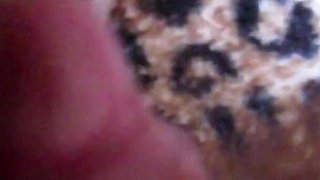 Hairy big clit pussy dripping wet close up orgasm